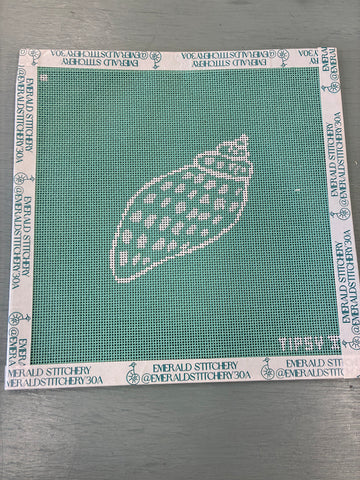 Shell on Green Canvas